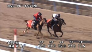 【ユニコーンステークス2025】追い切り/動きからレースを紐解く