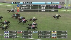 ハピ、芝に転向しても重賞の壁