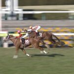 【競馬/フィリーズR】カラクレナイ強すぎワロタwwwwwwww