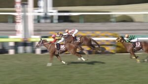 【競馬/フィリーズR】カラクレナイ強すぎワロタｗｗｗｗｗｗｗｗ