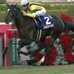 【競馬】そろそろ桜花賞の本命教えてよ\(^o^)/