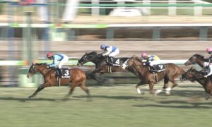 【競馬/東風S】グレーターロンドン強すぎワロタwwwwww【父ディープ】