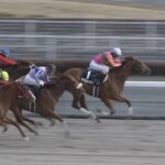 【競馬】テイエムオペラオー産駒オープンレース制覇wwwwww