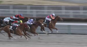 【競馬】テイエムオペラオー産駒オープンレース制覇ｗｗｗｗｗｗ