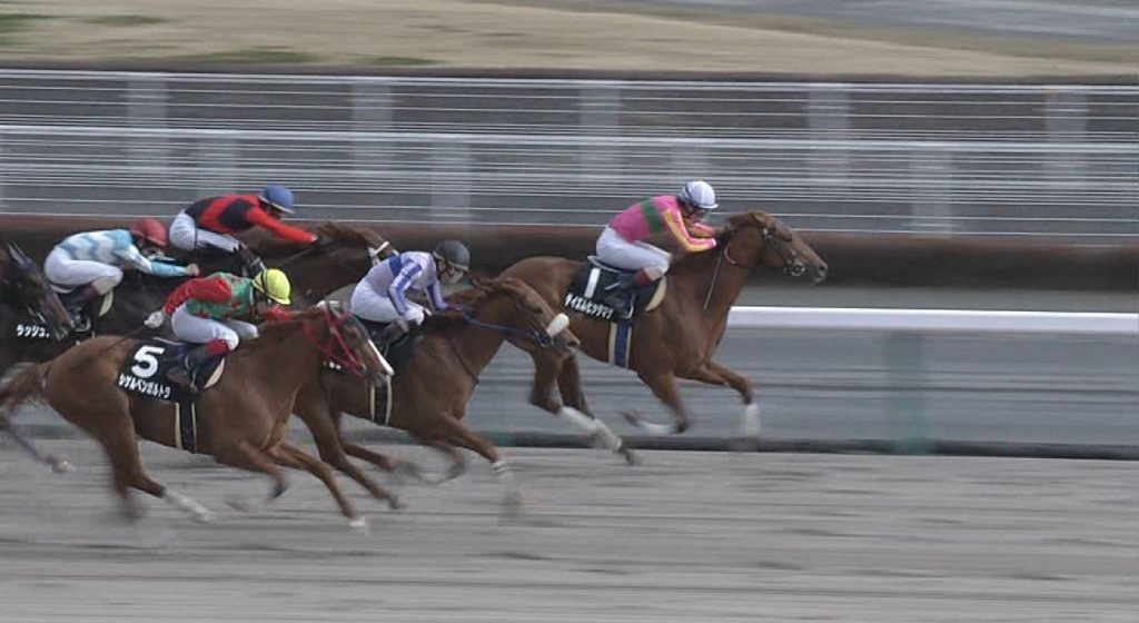 【競馬】テイエムオペラオー産駒オープンレース制覇wwwwww
