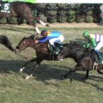 【競馬/中山牝馬S】3人気10着ビッシュ 戸崎「伸びなかった」
