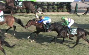 【競馬/中山牝馬S】3人気10着ビッシュ 戸崎「伸びなかった」