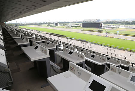 東京競馬を「府中」、阪神競馬を「仁川」と言う競馬ファン