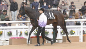 【競馬予想】第47回新潟大賞典(GⅢ) /2025