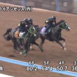 【平安ステークス2025】追い切り/抜群の動きを見せたのは