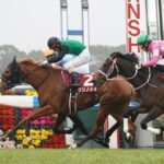 チューリップ賞馬クリノメイは関東オークスでダートに初挑戦