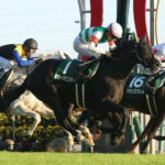 キラーアビリティがインドで種牡馬入りwwwww