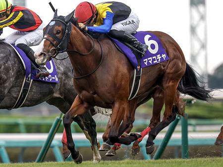 【競馬予想】第70回京王杯スプリングカップ(GⅡ) /2025