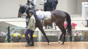 リンクスティップとはなんだったのか