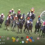 【競馬】NHKマイルC1番人気14着 アドマイヤズームとは何だったのか