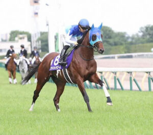 【NHKマイルC】14着大敗のアドマイヤズーム、落鉄が判明