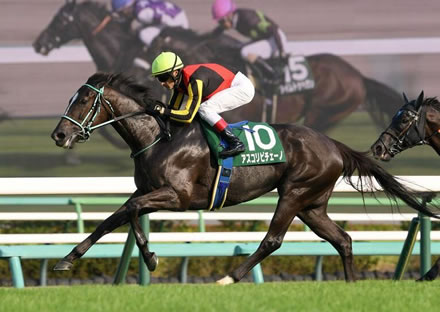 【競馬予想】[4]第20回ヴィクトリアマイル(GⅠ) /2025