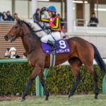 レガレイラ宝塚記念は引き続き戸崎圭太