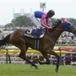 【訃報】GI3勝メイショウマンボが急死