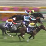 【NHKマイルカップ2025】結果・動画/パンジャタワーが波乱の一戦を制す
