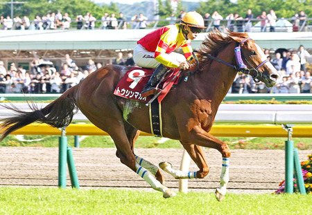 【京王杯SC】トウシンマカオが抜け出しV!JRAレコードで重賞5勝目