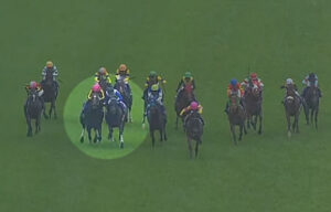 川田に過怠金３万円　直線で内に斜行してアルジーヌが被害馬に