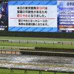 【東京9R】悪天候で落雷の可能性があるため取りやめ
