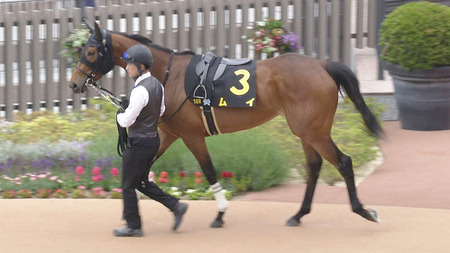 【競馬予想】第8回葵ステークス(GⅢ) /2025