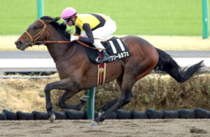 【ケンタッキーダービー】ルクソールカフェ万全の最終追い切り モレイラ「夢のようです」