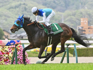 【ヴィクトリアM】アドマイヤマツリ圧勝あるよな？