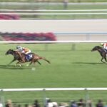 【天皇賞春2025】結果・動画/ヘデントールが長距離王の座に輝く
