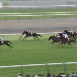 【京都新聞杯2025】結果・動画/ショウヘイが突き抜け快勝