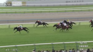 【京都新聞杯2025】結果・動画/ショウヘイが突き抜け快勝