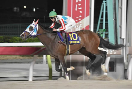 ナチュラルライズ、羽田盃レーティングは115　2年目で早くもダート三冠馬有力か