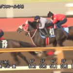 【京都新聞杯2025】追い切り/動きを見極め勝利に近づけ