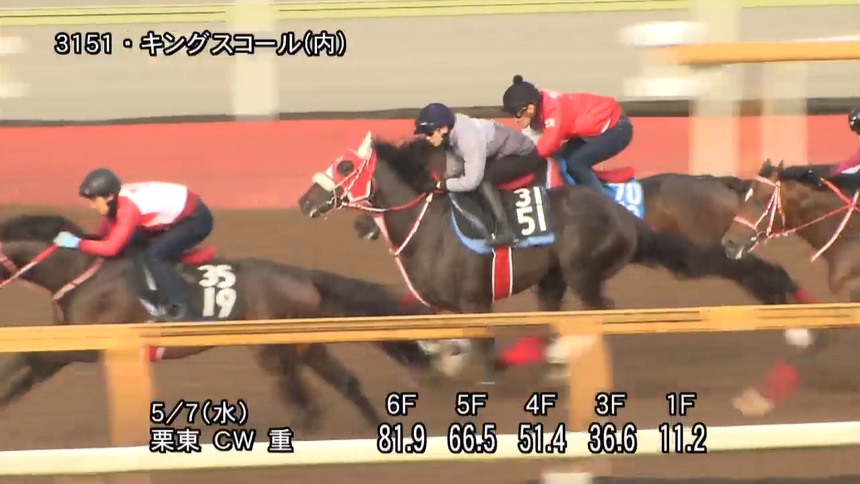 【京都新聞杯2025】追い切り/動きを見極め勝利に近づけ