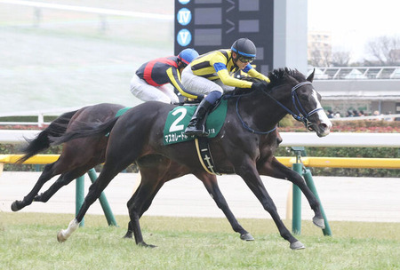 【競馬予想】[1]第92回東京優駿(日本ダービー)(GⅠ) /2025