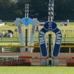 【枠順確定】第20回ヴィクトリアマイル(GⅠ) / アスコリピチェーノ8枠17番 ステレンボッシュ1枠2番