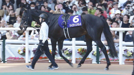 【天皇賞・春】ジャスティンパレス鮫島www