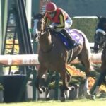 2冠牝馬チェルヴィニア、次走G3しらさぎSへ
