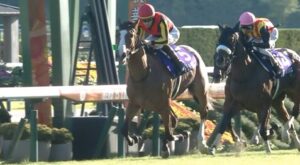 2冠牝馬チェルヴィニア、次走G3しらさぎSへ