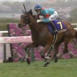 桜花賞馬エンブロイダリー、オークスはルメール騎手とコンビ再結成