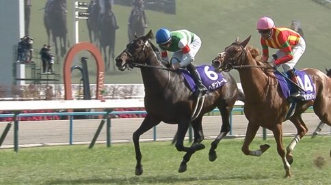 【天皇賞春】へデントール強すぎワロタwww