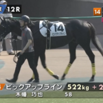 【日曜東京12R】ピックアップラインおるやん