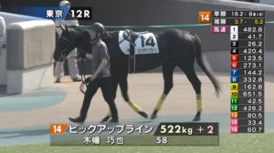 【日曜東京12R】ピックアップラインおるやん