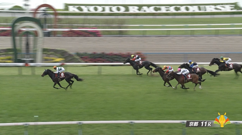 【京都新聞杯】サートゥルナーリア種牡馬大成功!