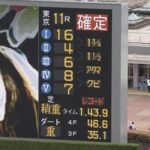 【エプソムカップ】 稍重レコード