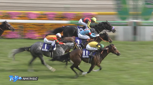【NHKマイルC】マイケル・ディー騎手穴馬持ってきてて草
