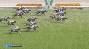 【NHKマイルC】ランスオブカオス吉村誠之助騎手5着