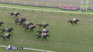 武さん新潟大賞典も重賞勝てず…